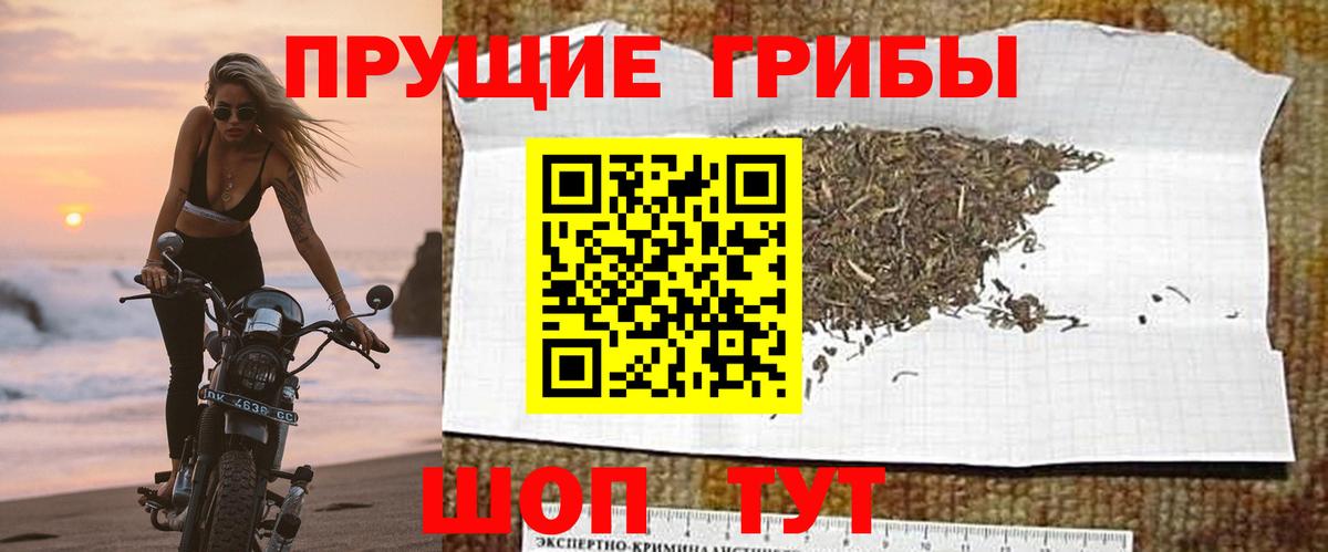 Псилоцибиновые грибы Magic Shrooms Светлоград