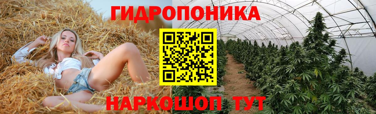 Шишки марихуана семена  Бошки марихуана тримм  Светлоград  Канабис VHQ  Вход с VPN  Бошки Шишки Ganja 